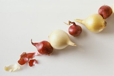 Hành tây trị chứng rụng tóc