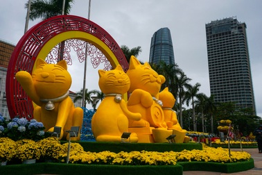 Linh vật mèo của Đà Nẵng sẽ được xử lý như thế nào khi hết Tết?