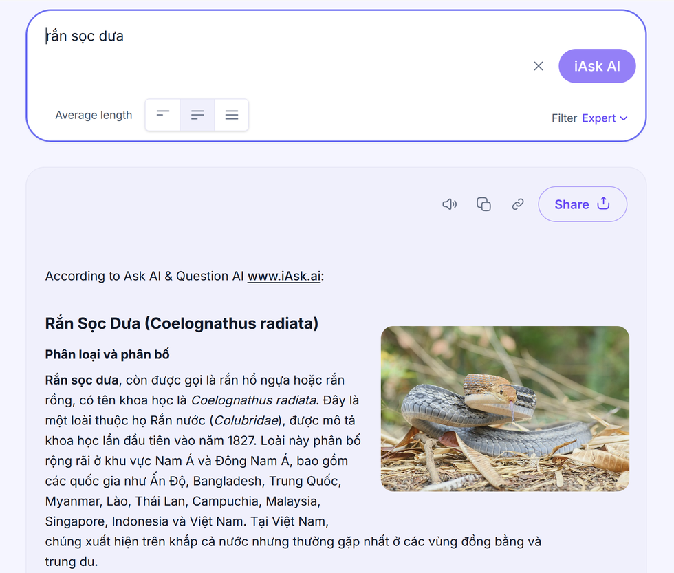 Những công cụ tìm kiếm Internet tích hợp AI miễn phí để thay thế Google - 2 Những công cụ tìm kiếm Internet tích hợp AI miễn phí để thay thế Google - 2