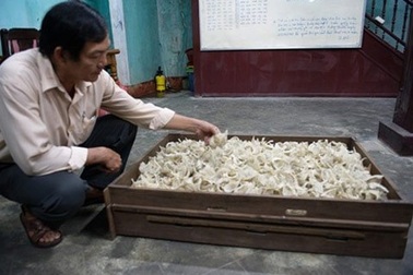 Yến sào "gãy cánh" vì khủng hoảng kinh tế