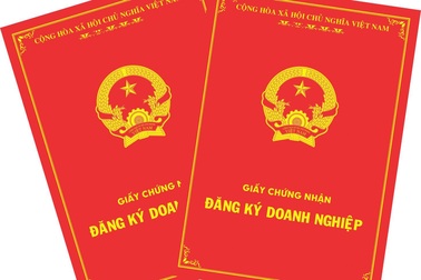 Bộ Kế hoạch và đầu tư báo cáo Thủ tướng lùm xùm tại Công ty TNHH Kim Anh