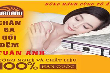 4 lý do để đệm bông ép được người Việt yêu thích