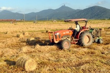 "Đội" nắng 40 độ C, nông dân kiếm tiền từ nghề cuộn rơm thuê