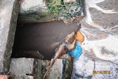 Công ty thủy sản xả thải trực tiếp ra môi trường   