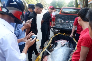 Chi hàng trăm triệu đưa “thủy quái” từ Campuchia về Việt Nam ăn Tết Kỷ Hợi