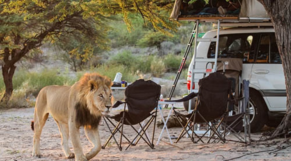 Các safari kỳ thú tiếp cận những “gã khổng lồ” hoang dã châu Phi - 7 Các safari kỳ thú tiếp cận những “gã khổng lồ” hoang dã châu Phi - 7