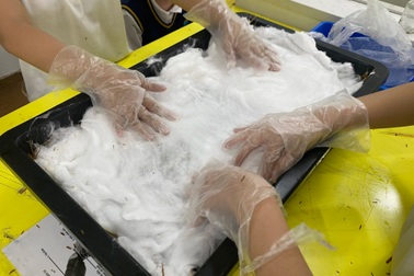 Hà Nội: Học sinh phổ thông đưa môn khoa học vào khởi nghiệp