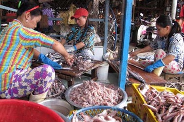 Chả cá độc hại: Bên xử, bên không