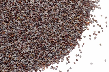 Ăn hạt anh túc có làm bạn trượt cuộc kiểm tra ma túy không?