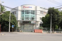 Bắt giám đốc chi nhánh ngân hàng cùng nhiều thuộc cấp