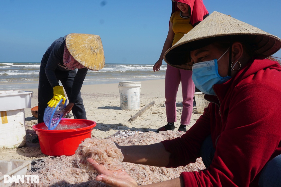 Trúng đậm ruốc biển, ngư dân vùng bãi ngang thu 3 triệu mỗi ngày - 3