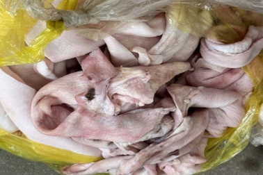 Chở 1,6 tấn bì lợn bẩn từ Hải Dương vào Thanh Hóa tiêu thụ