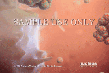 Đâu là phương pháp đối phó với dịch cúm hiệu quả nhất?