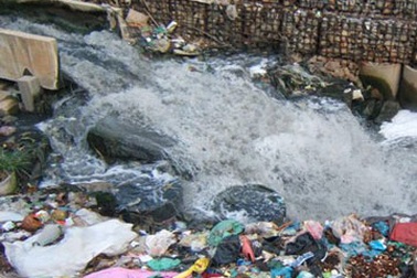 Tội phạm môi trường ngày càng phức tạp