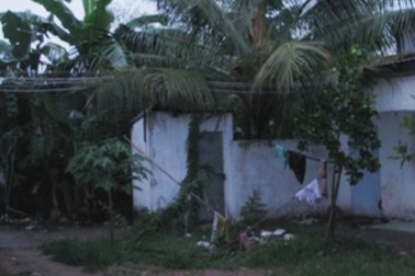 Bẫy chuột gây chết người