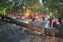 Cây xà cừ đổ ngang đường, giao thông vào khu du lịch Tam Cốc kẹt cứng