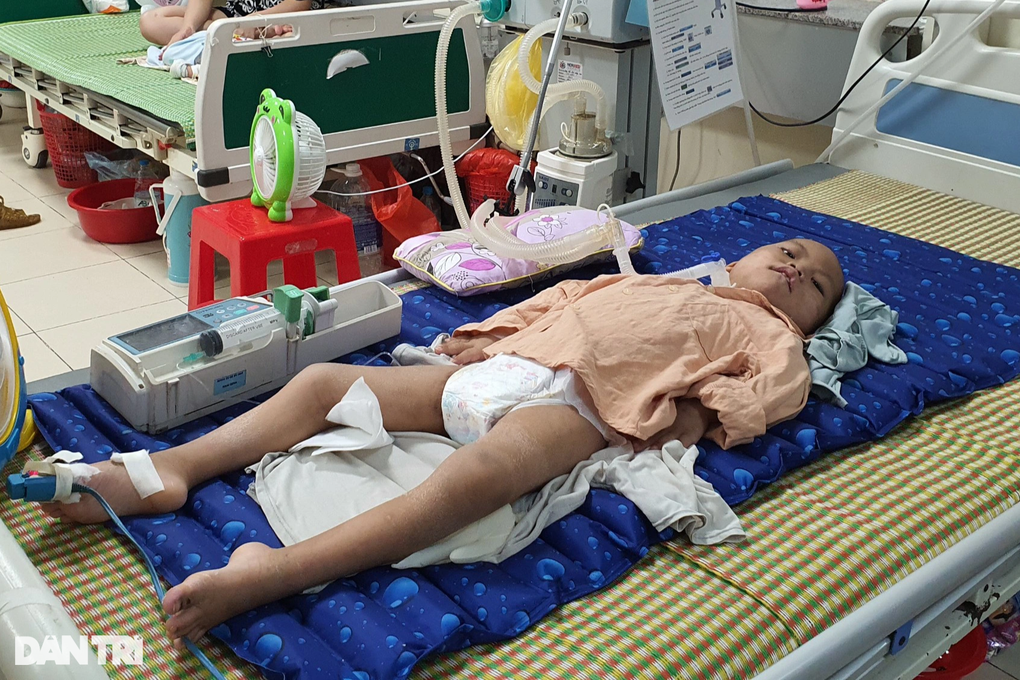 Thắt lòng ánh mắt khát sống của bé 6 tuổi giữa lằn ranh sinh tử - 2 Thắt lòng ánh mắt khát sống của bé 6 tuổi giữa lằn ranh sinh tử - 2