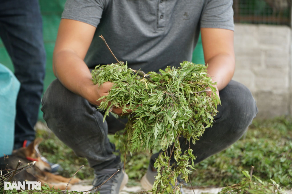 2 người đàn ông tuổi Dậu bỏ lương cao về quê làm chuyện kỳ lạ với trứng gà - 6