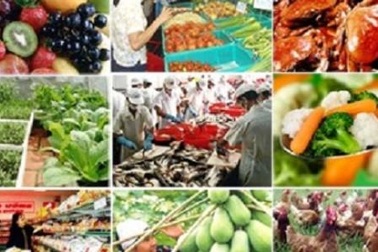 Vệ sinh an toàn thực phẩm: Thanh tra đột xuất, vi phạm chiếm gần 30%