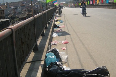 Thả cá, xả... rác