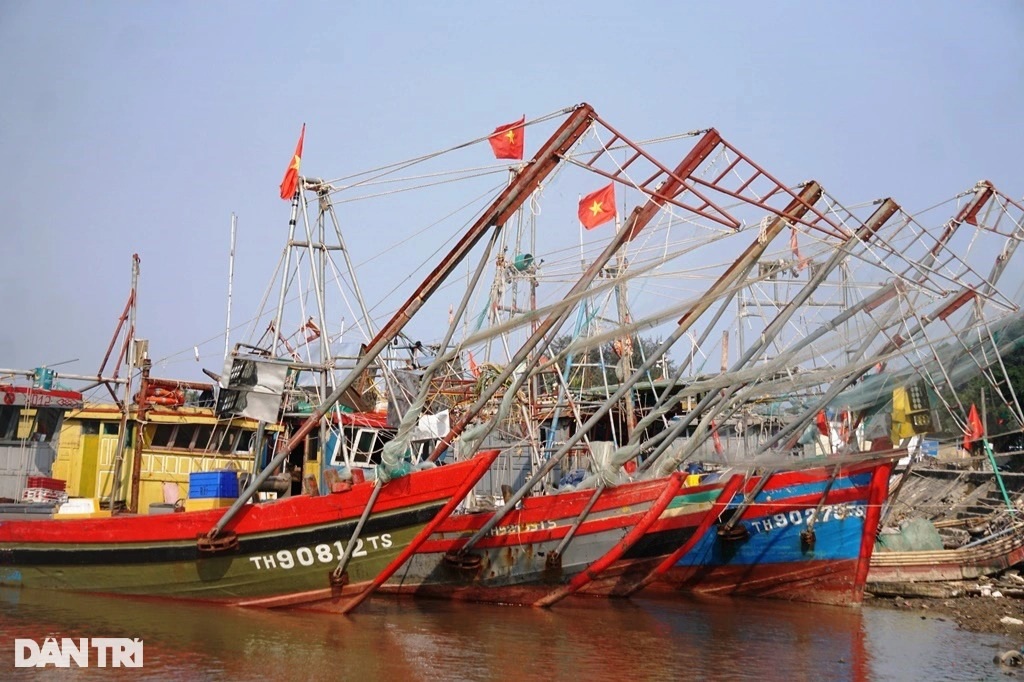 Khó khăn kép của ngư dân làm nghề đánh bắt hải sản - 1