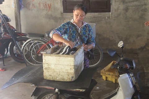 Quảng Trị: Người dân phập phồng lo lắng sau vụ cá nhiễm chất cực độc