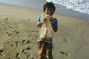 Rủ nhau đi bắt “lộc trời”