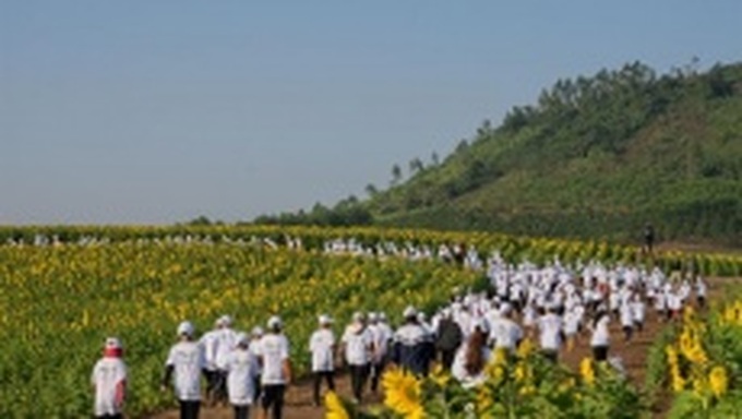 Gần 4.000 học sinh, sinh viên tham gia giải chạy S-Race 2022 tại Nghệ An
