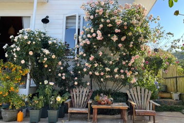 Mua 2.000m2 đất ở Đà Lạt, chàng trai dựng ngôi nhà "đi đâu cũng chạm hoa"