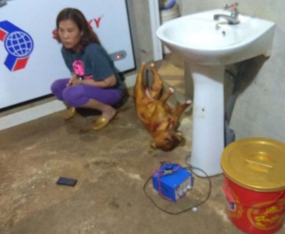 Nữ chủ quán cấu kết với “cẩu tặc” tiêu thụ hơn 14 tấn thịt chó - 1 Nữ chủ quán cấu kết với “cẩu tặc” tiêu thụ hơn 14 tấn thịt chó - 1