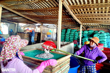 Nghề "chồng bỏ, chồng chê", tất bật ngày đêm vẫn không hết việc