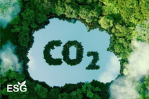 GS.TS Sử Đình Thành: "Thị trường carbon là công cụ kinh tế quan trọng"