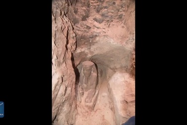 Tình cờ phát hiện bức tượng nhân sư bằng đá sa thạch niên đại hơn 2000 năm