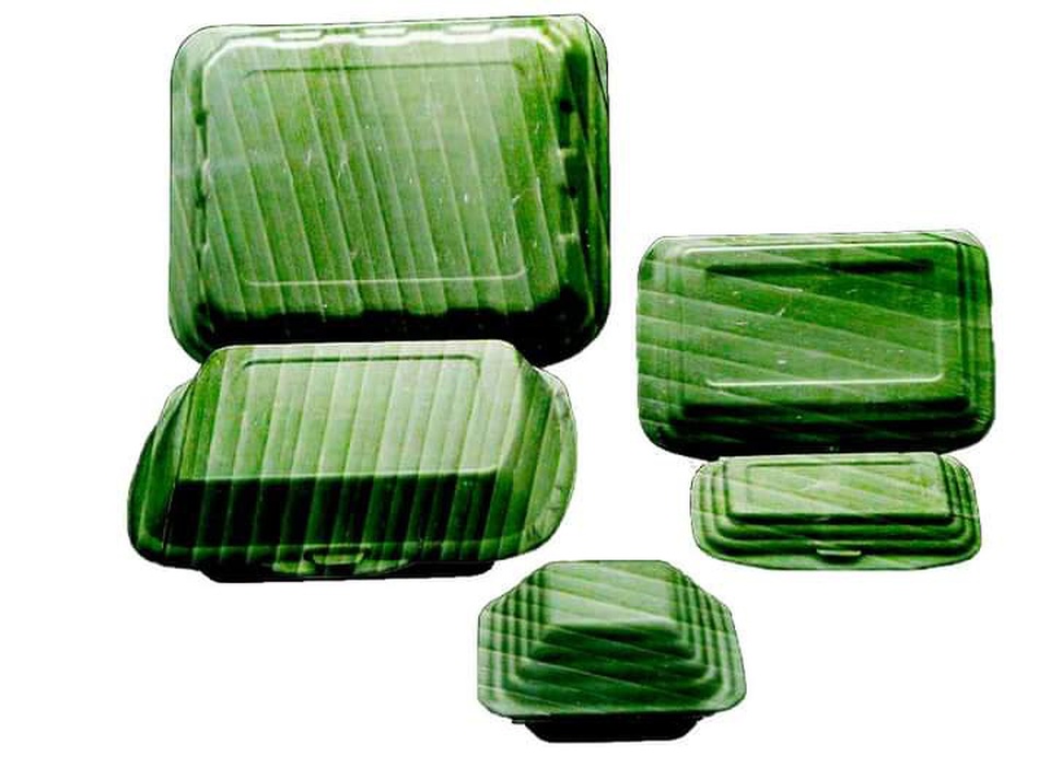 Đoạt giải Nhất thi khởi nghiệp với sản phẩm chén, đĩa làm bằng lá chuối khô - 3 Đoạt giải Nhất thi khởi nghiệp với sản phẩm chén, đĩa làm bằng lá chuối khô - 3