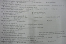 Lộ đề, thi thật chuyển thành “thi thử”