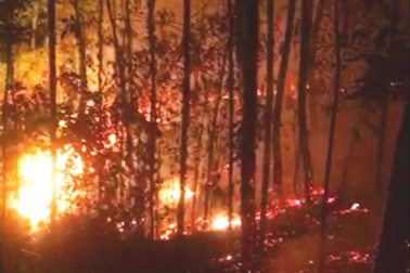 Rừng thông 30 năm tuổi gần lăng vua Khải Định ngùn ngụt cháy trong đêm