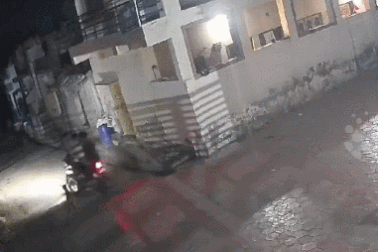 Hai thanh niên hốt hoảng khi đối mặt sư tử trong đêm