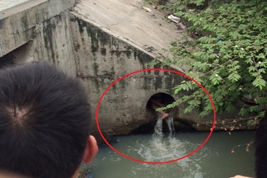 TPHCM: Giải cứu cô gái chui vào cống nước thải, lấy đá tự đập đầu