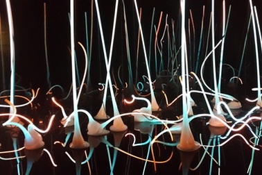 Thăm vườn thuỷ tinh Chihuly độc nhất vô nhị trên đất Mỹ