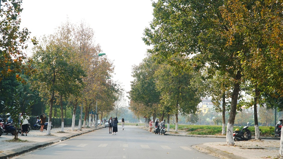 Con đường phong lá đỏ tuyệt đẹp lãng mạn như trời Âu ở Hà Nội - 3 Con đường phong lá đỏ tuyệt đẹp lãng mạn như trời Âu ở Hà Nội - 3