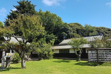 Những khoảng xanh ngút mắt ở Ibaraki