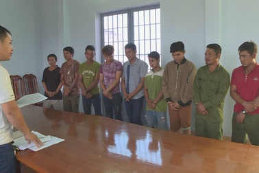 Khởi tố 13 đối tượng chặt gỗ quý trong vườn quốc gia Yok Đôn