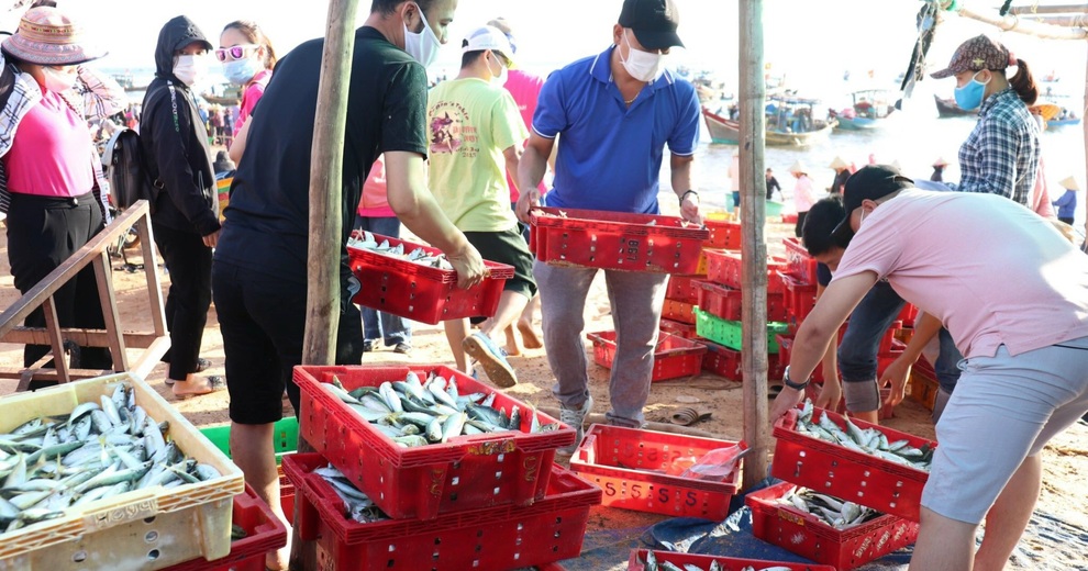 Quyên góp 5 tấn cá hỗ trợ lao động nghèo vùng dịch tại TP Hồ Chí Minh - 4 Quyên góp 5 tấn cá hỗ trợ lao động nghèo vùng dịch tại TP Hồ Chí Minh - 4