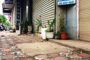 Nấm mốc, rêu phong bao phủ kín quán hàng sau chuỗi ngày dài đóng cửa
