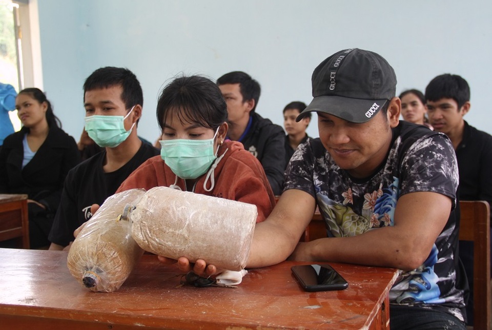Dạy trồng nấm sò cho thanh niên ở cổng trời An Toàn - 2 Dạy trồng nấm sò cho thanh niên ở cổng trời An Toàn - 2
