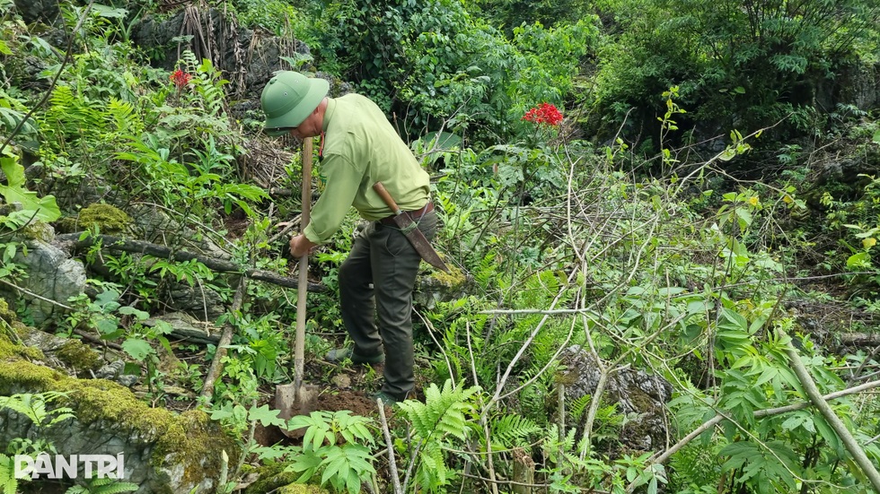 Người trẻ vượt non cao nắng cháy, vào rừng làm nhà cho vượn đen má trắng - 10 Người trẻ vượt non cao nắng cháy, vào rừng làm nhà cho vượn đen má trắng - 10