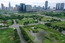 Dân "choáng váng" khi nghe tin TPHCM dự kiến tăng giá đất 5-50 lần từ 1/8