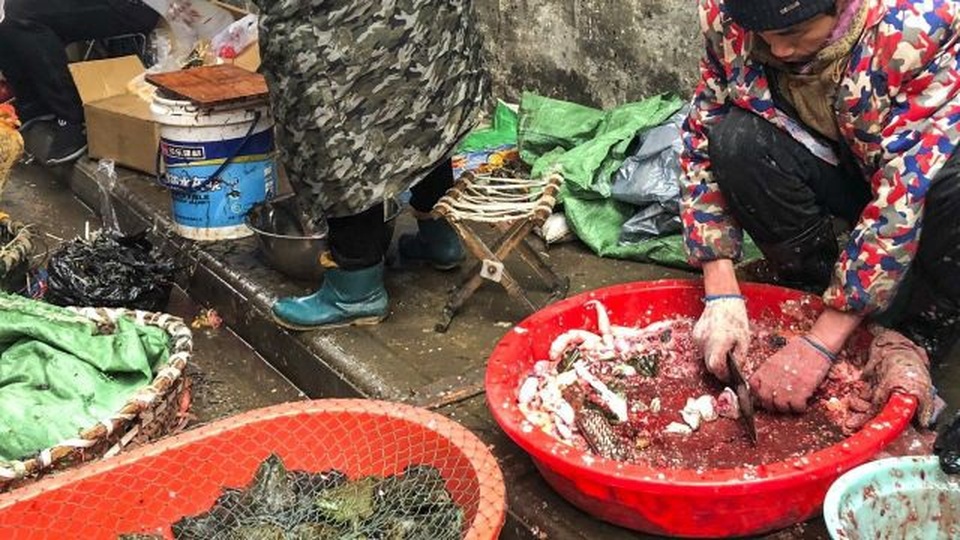 Virus corona hoành hoành, hàng Trung Quốc vào Việt Nam ảnh hưởng ra sao? - 1 Virus corona hoành hoành, hàng Trung Quốc vào Việt Nam ảnh hưởng ra sao? - 1