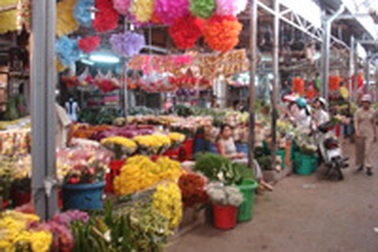 Thị trường hoa Tết vẫn “nguội” 