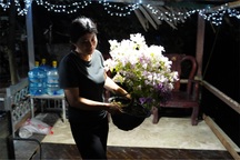 Tết khác ngày thường chỗ nào hở mẹ?